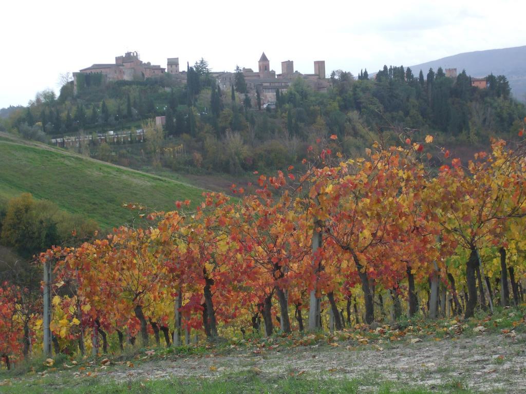 Agriturismo Il Torrione Villa Certaldo Exterior photo