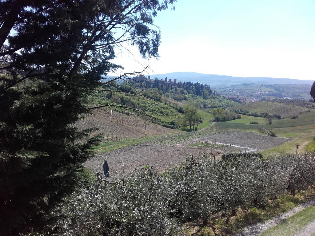 Agriturismo Il Torrione Certaldo Exterior photo
